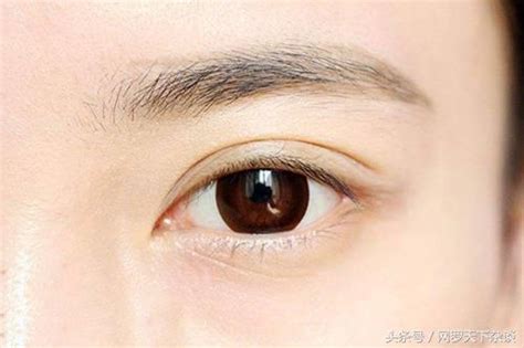 眉毛亂翹|從眉毛看一個人的健康、財運、個性、愛情…太準了！。